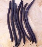 Climbing French Bean; Cosse Violette