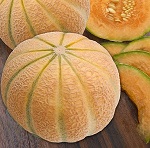 Melon: Malaga