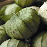Physalis (Tomatillo):Mexican Green Husk seed