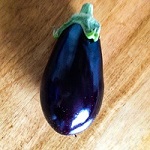 Aubergine: Galine F1 plug plant