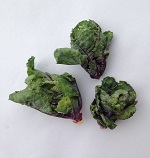 Brussels Sprouts: Kalettes  - Garden Mix
