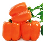 Sweet Pepper: Bright Star F1