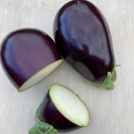 Aubergine: Genie F1