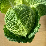 Cabbage Seeds