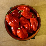 Chilli Pepper: Al Bab