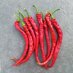 Chilli Pepper: Longhorn