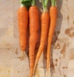 Carrot: Sugarsnax 54 F1