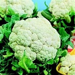 Cauliflower: All Year Round