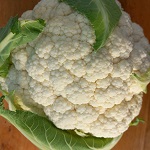 Cauliflower: Autumn Giant