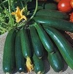 Courgette: Zucchini