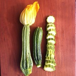 Courgette: Romanesco