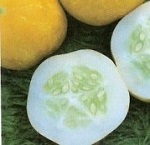 Cucumber: Crystal Lemon