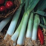 Leek: Blue Solaise