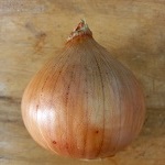 Standard Sized Onion Seeds