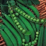 Pea Seeds