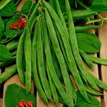 Runner Bean: Scarlet Empire