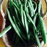 Runner Bean Seeds