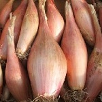 Shallot: Cuisses de Poulet du Poitou