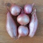 Shallot Seeds