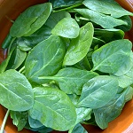 Spinach Seeds