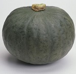 Winter Squash: Blue Kuri