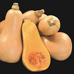 Winter Squash: Butternut: Hunter F1