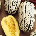 Winter Squash: Delicata